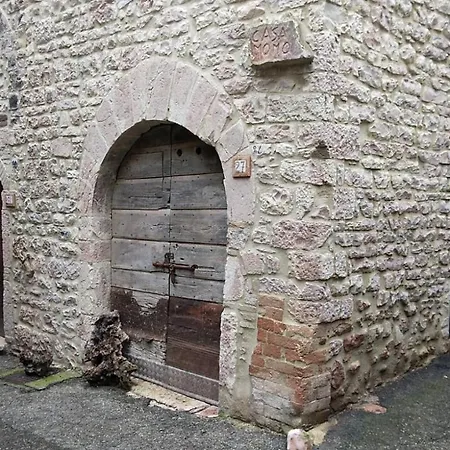 Casa Momo *